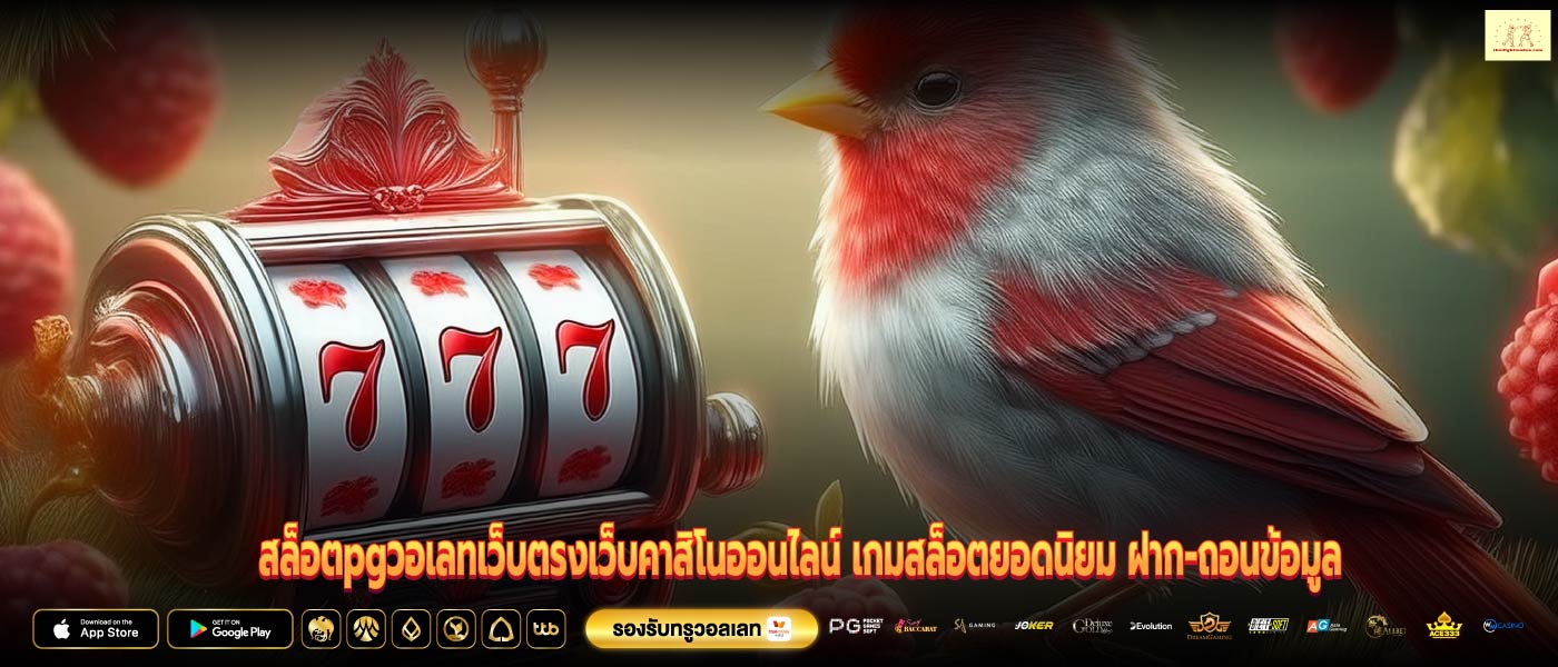 สล็อตpgวอเลทเว็บตรงเว็บคาสิโนออนไลน์ เกมสล็อตยอดนิยม ฝาก-ถอนข้อมูล
